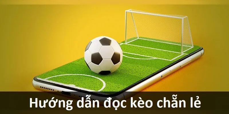 Các loại kèo chẵn lẻ hay gặp khi cá độ 